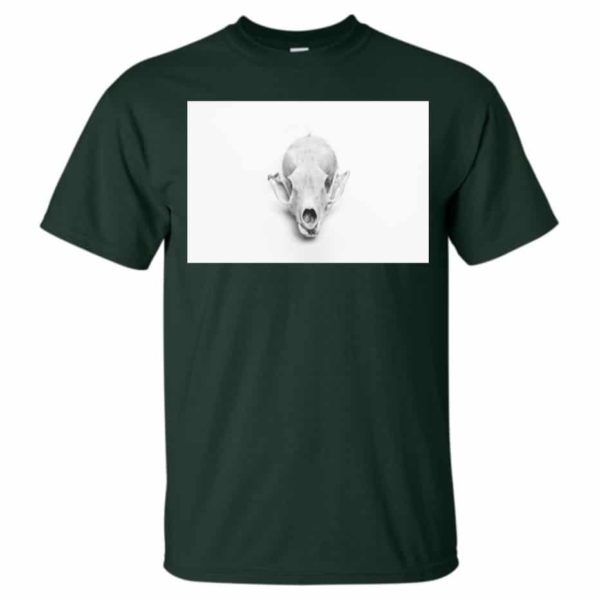 Skull - Image 3